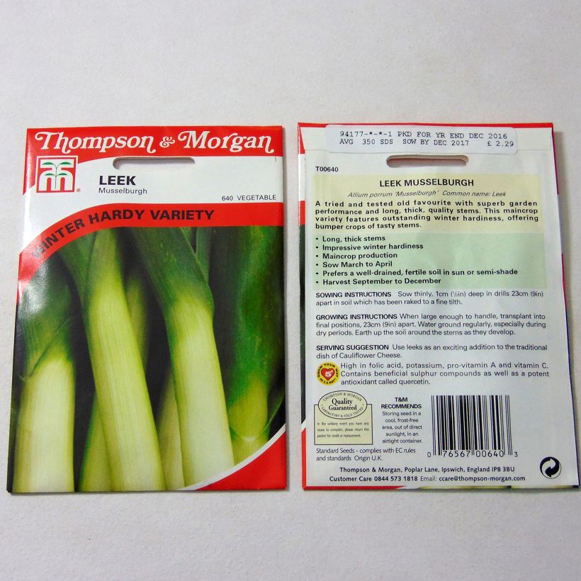 Beispiel eines Exemplars von Lauch-Porree Musselburgh die Tüte mit 350 Samen ungefähr wie geliefert