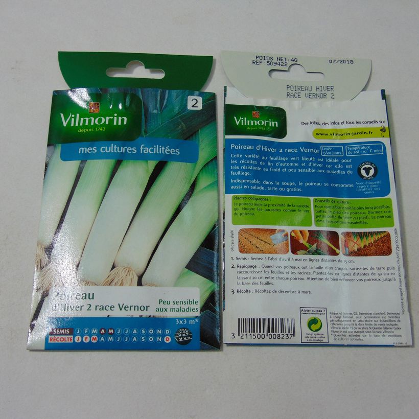 Beispiel eines Exemplars von Lauch-Porree d'hiver 2 race Vernor - Vilmorin die Tüte mit 1000 Samen ungefähr (4g) wie geliefert