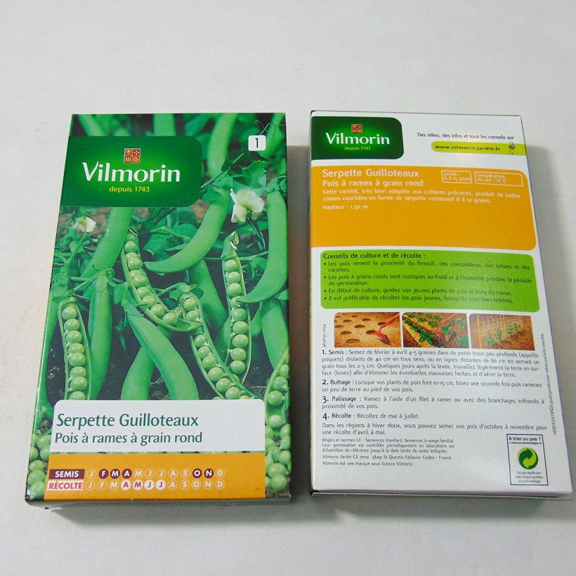 Beispiel eines Exemplars von Riesige Erbse Serpette Guilloteaux - Vilmorin die Tüte mit 600 Samen ungefähr (200g) wie geliefert