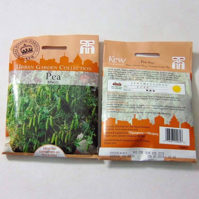 Beispiel eines Exemplars von Zwergerbse Bingo die Tüte mit 100 Samen ungefähr wie geliefert