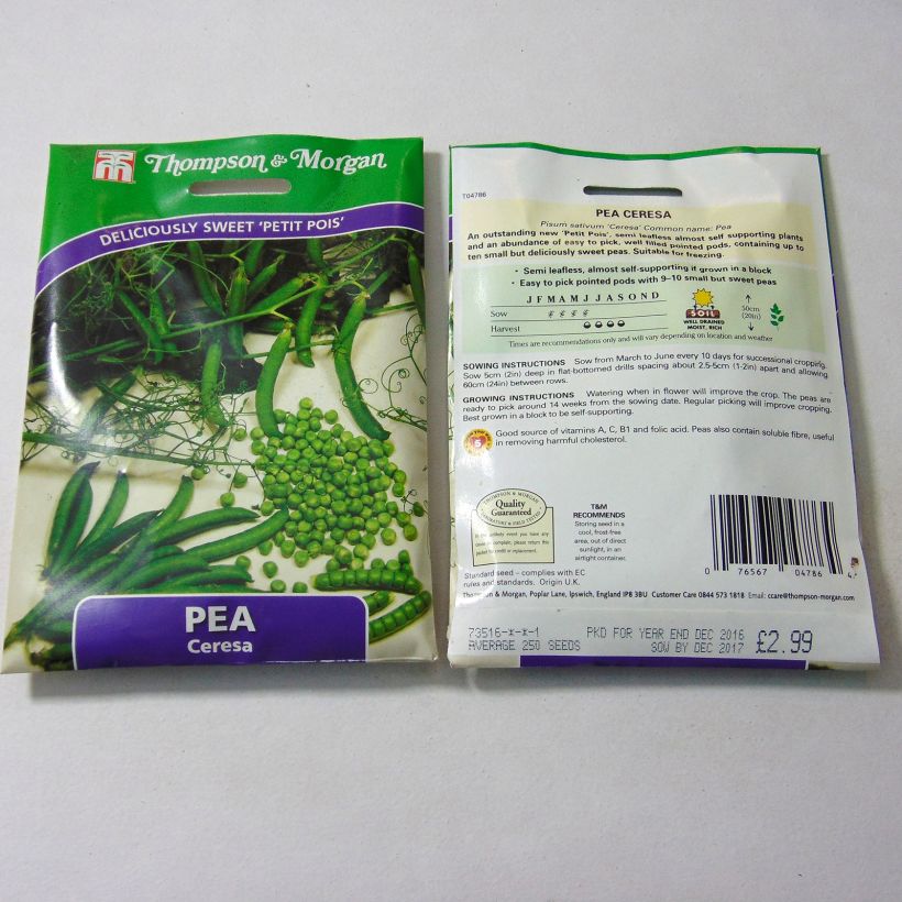 Beispiel eines Exemplars von Zwergerbse Ceresa die Tüte mit 250 Samen ungefähr wie geliefert