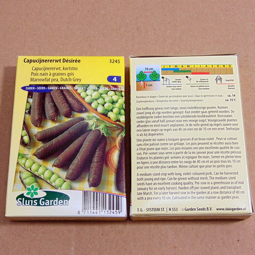 Beispiel eines Exemplars von Zwergerbse Désirée die Tüte mit Samen von 60 Gramm wie geliefert