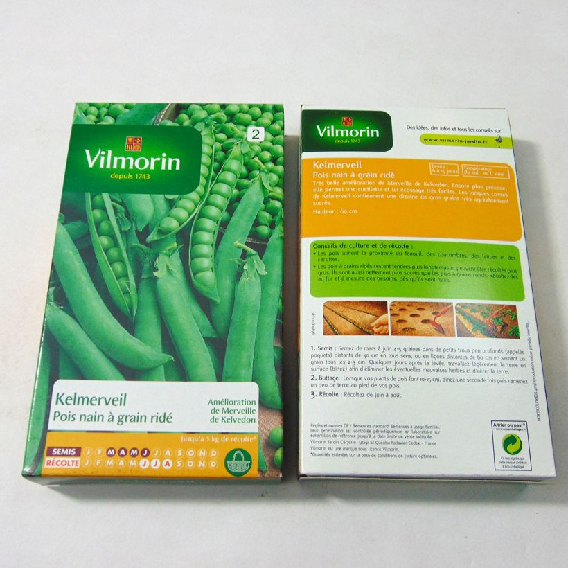 Beispiel eines Exemplars von Zwergerbse Kelmerveil - Vilmorin die Tüte mit 600 Samen ungefähr (200g) wie geliefert