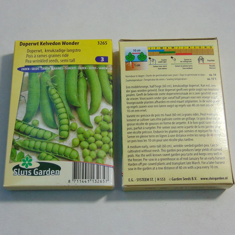 Beispiel eines Exemplars von Zwergerbse Kelvedon Wonder die Tüte mit 300 Samen ungefähr (100g) wie geliefert