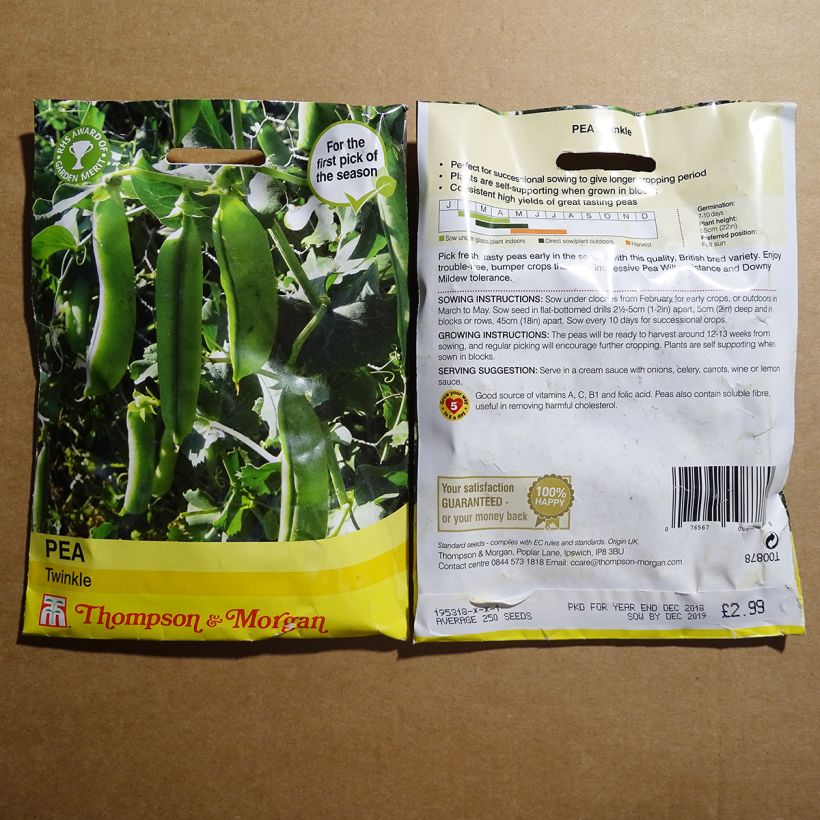 Beispiel eines Exemplars von Zwergerbse Twinkle die Tüte mit 250 Samen ungefähr wie geliefert