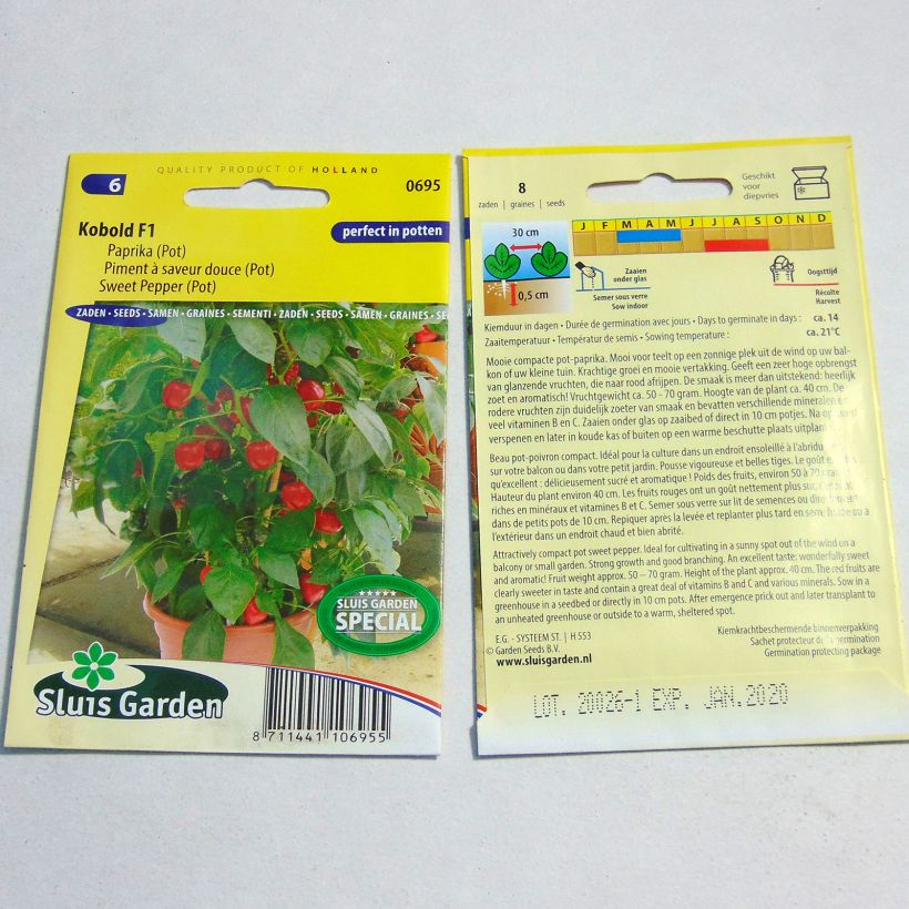 Example of Paprika Kobold die Tüte mit 8 Samen ungefähr as you get