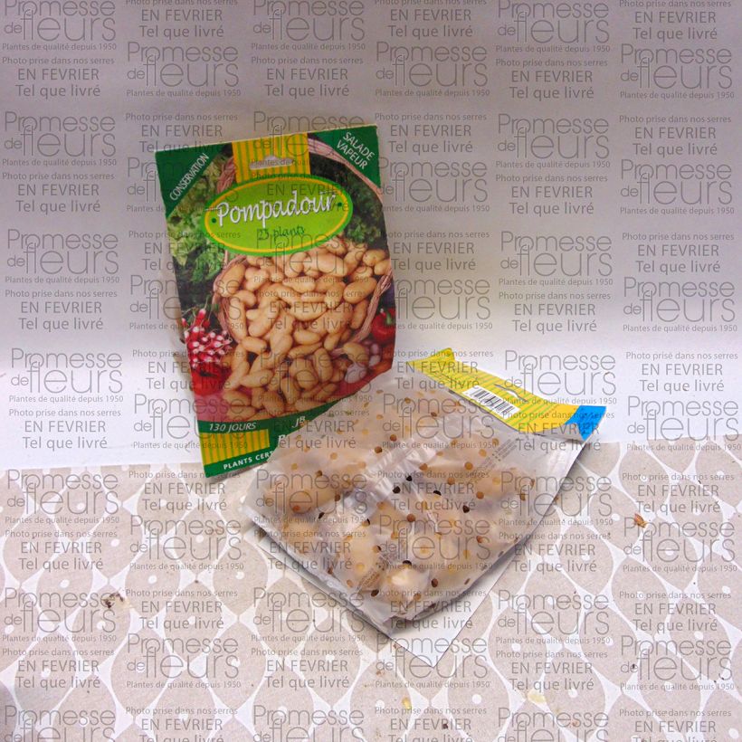 Beispiel eines Exemplars von Kartoffel Pompadour Tasche Kaliber/Größe 25/32 mm wie geliefert