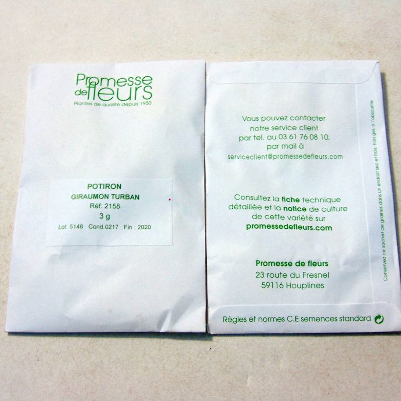 Beispiel eines Exemplars von Riesen-Kürbis Giraumon Turban die Tüte mit 10 Samen ungefähr (3g) wie geliefert