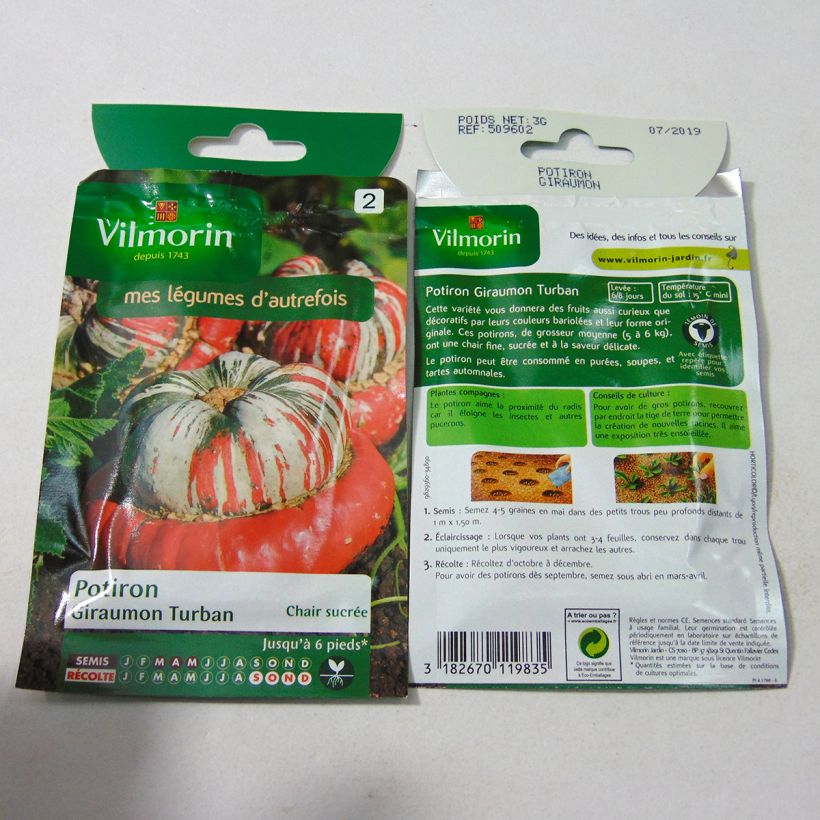 Beispiel eines Exemplars von Riesen-Kürbis Giraumon Turban - Vilmorin die Tüte mit 18 Samen ungefähr (3g) wie geliefert