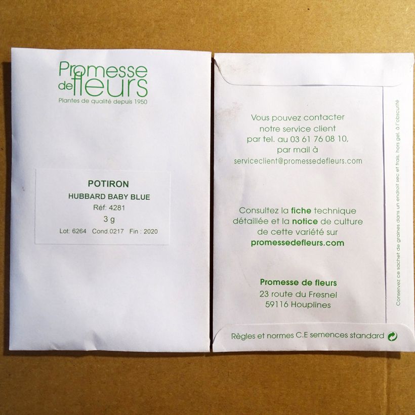 Example of Riesen-Kürbis Hubbard Baby Blue die Tüte mit 20 Samen ungefähr (3g) as you get