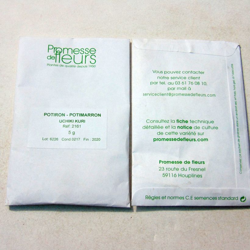 Beispiel eines Exemplars von Riesen-Kürbis Uchiki-Kuri die Tüte mit 20 ? 25 Samen ungefähr (5g) wie geliefert