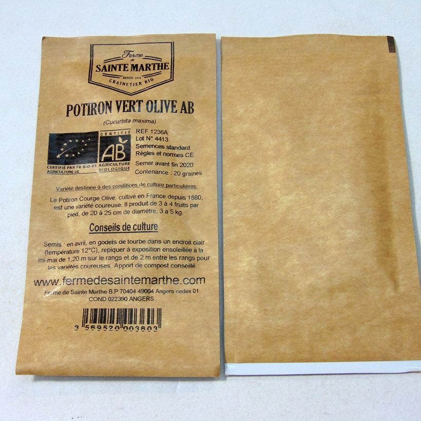 Beispiel eines Exemplars von Riesen-Kürbis Vert Olive Bio - Ferme de Sainte Marthe die Tüte mit 20 Samen ungefähr (4g) wie geliefert