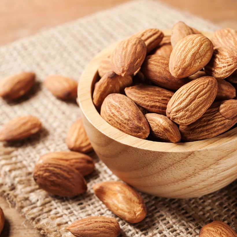 Mandelbaum Desmayo Largueta - Prunus dulcis (Ernte)