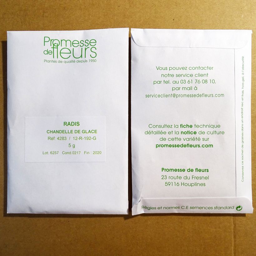 Beispiel eines Exemplars von Rettich Chandelle de Glace die Tüte mit 450 Samen ungefähr (5g) wie geliefert
