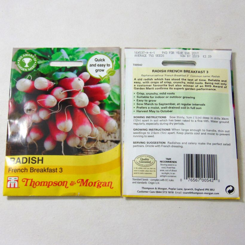 Beispiel eines Exemplars von Rettich French Breakfast 3 die Tüte mit 1000 Samen ungefähr wie geliefert