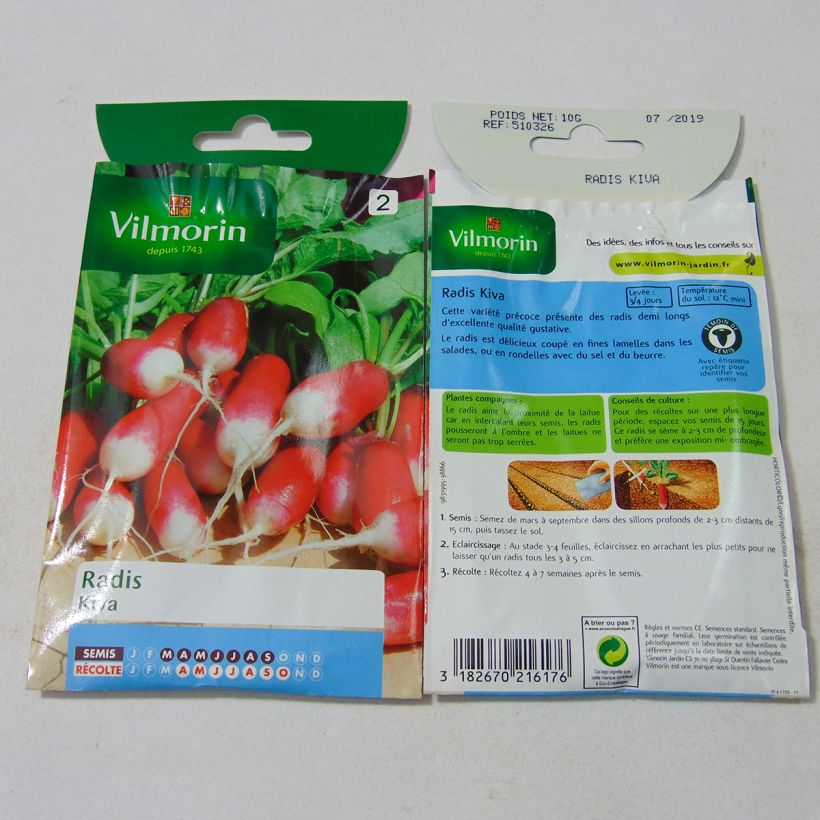 Beispiel eines Exemplars von Rettich Kiva - Vilmorin die Tüte mit 800 Samen ungefähr (10g) wie geliefert