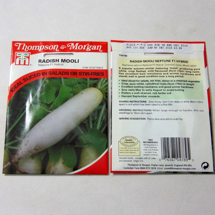 Example of Rettich Mooli Neptune F1 die Tüte mit 100 Samen ungefähr as you get