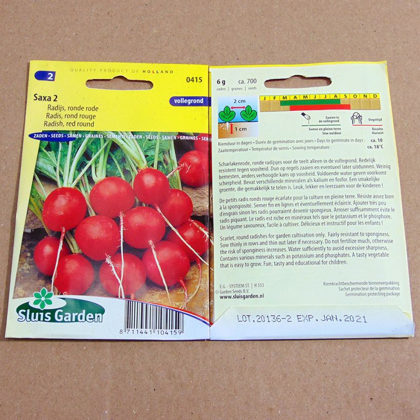 Example of Rettich Rond rouge Saxa 2 die Tüte mit 700 Samen ungefähr (6g) as you get