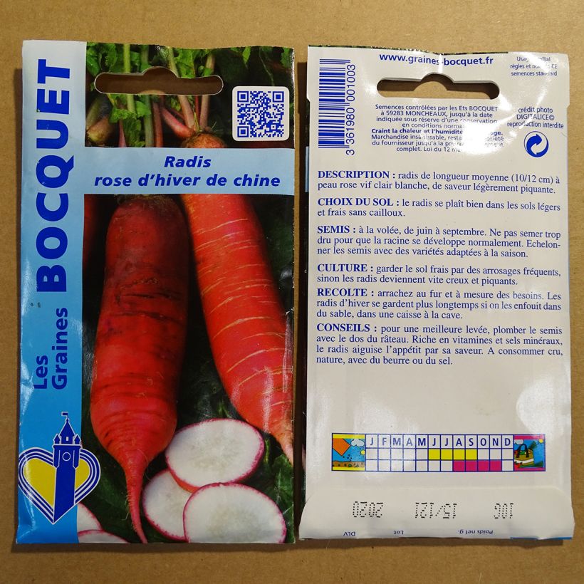 Beispiel eines Exemplars von Rettich Rose d'hiver de Chine die Tüte mit 800 Samen ungefähr (10g) wie geliefert