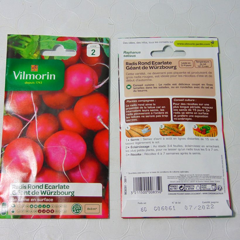 Example of Rettich rond écarlate géant de Wurzbourg die Tüte mit 480 Samen ungefähr (6g) as you get