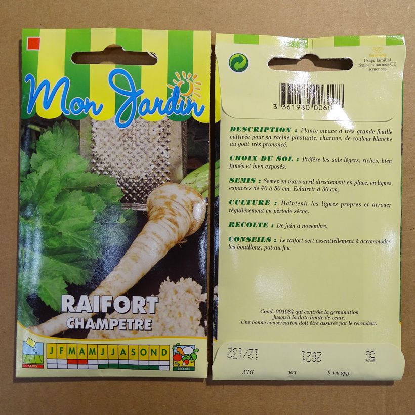 Beispiel eines Exemplars von Meerrettich (Samen) - Armoracia rusticana die Tüte mit Samen von 5 Gramm wie geliefert