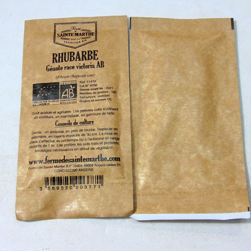 Beispiel eines Exemplars von Rhapontik-Rhabarber Victoria Bio die Tüte mit 100 Samen ungefähr (1g) wie geliefert