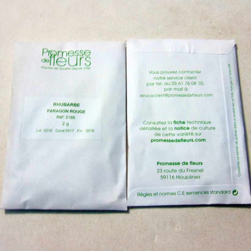 Beispiel eines Exemplars von Rhapontik-Rhabarber Paragon Rouge die Tüte mit 125 Samen ungefähr (2g) wie geliefert