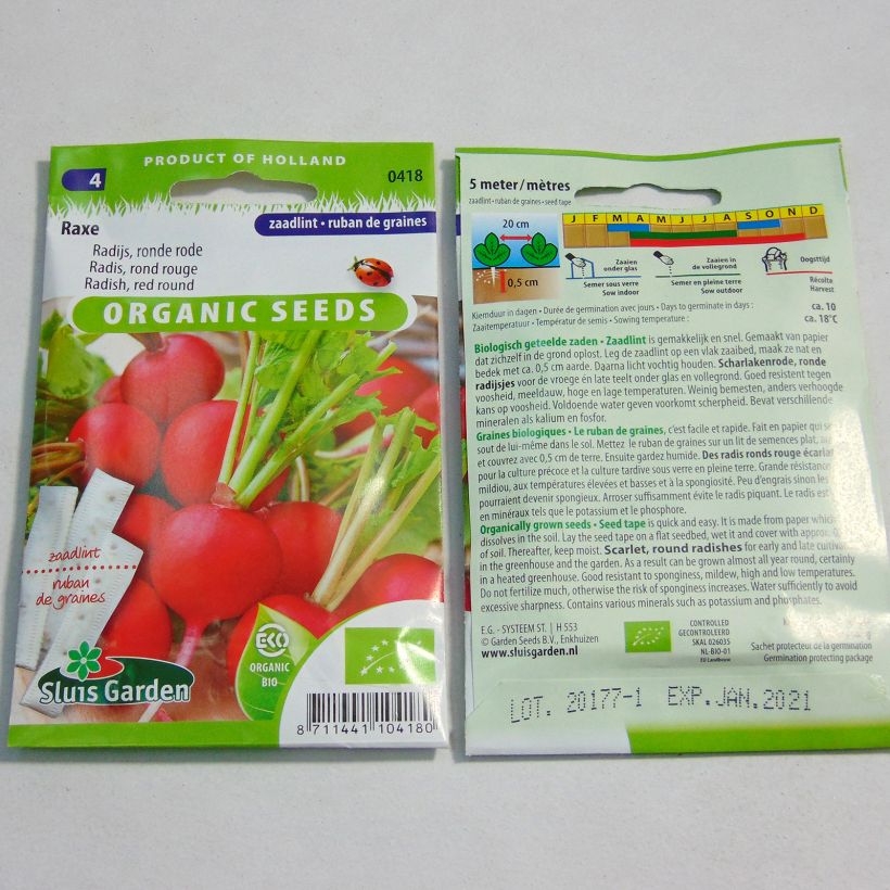 Example of Rettich Rond rouge Raxe Bio Bio (Ruban) Samen in Bändern as you get