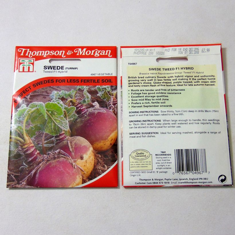 Beispiel eines Exemplars von Rübenkohl Tweed die Tüte mit 200 Samen ungefähr wie geliefert