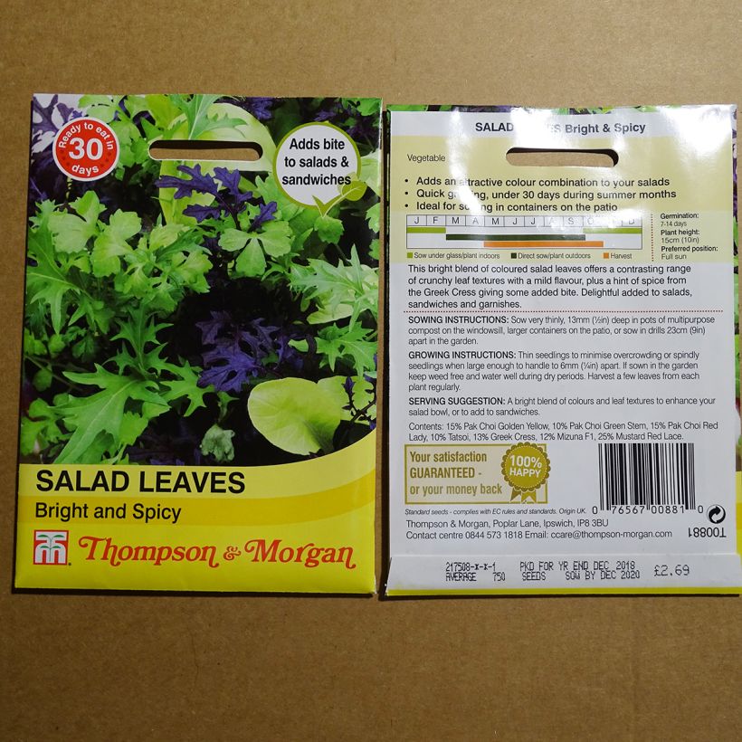 Example of Mesclun Bright and Spicy die Tüte mit 1000 Samen ungefähr as you get