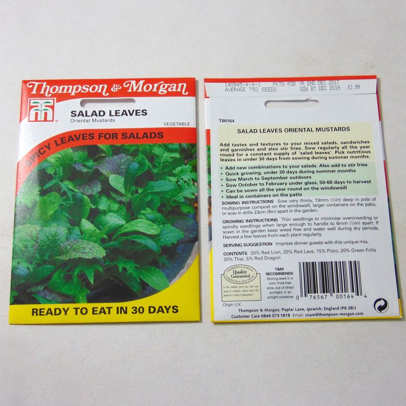 Beispiel eines Exemplars von Sarepta-Senf Oriental Mustards die Tüte mit 2000 Samen ungefähr wie geliefert