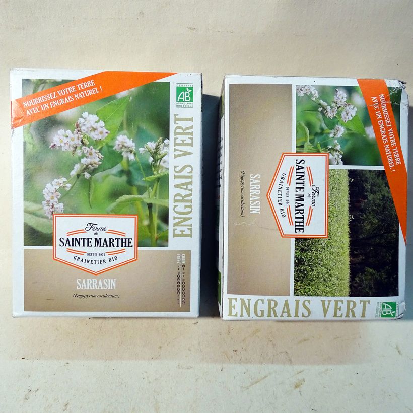 Beispiel eines Exemplars von Echter Buchweizen Bio - Ferme de Sainte Marthe - Fagopyrum esculentum die Tüte mit Samen von 400 Gramm wie geliefert