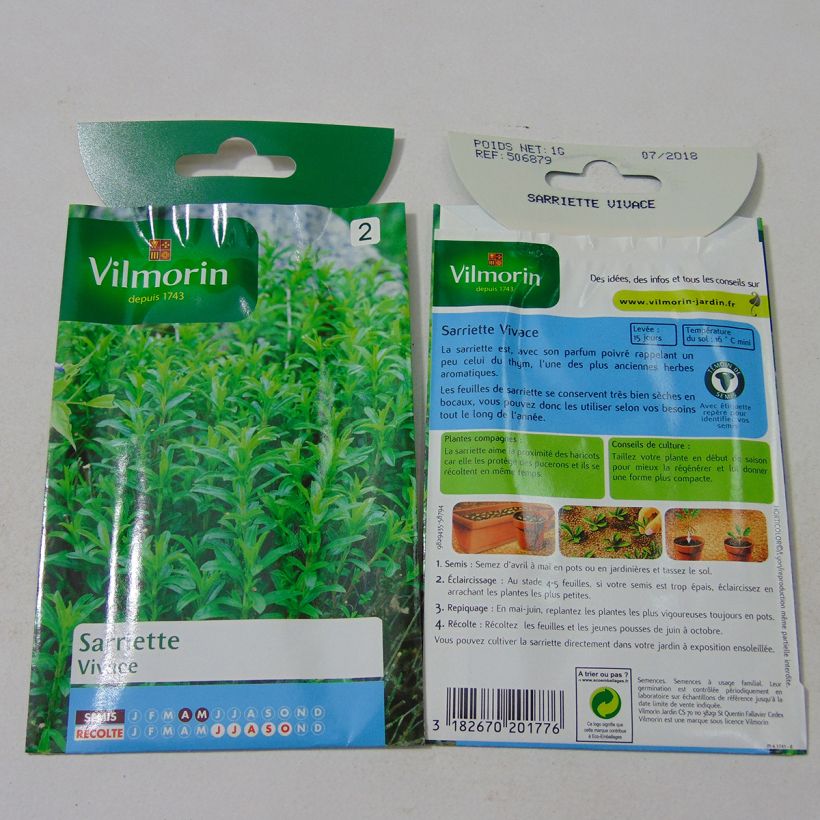 Beispiel eines Exemplars von Bohnenkraut - Vilmorin - Satureja montana die Tüte mit 700 Samen ungefähr (0,4g) wie geliefert