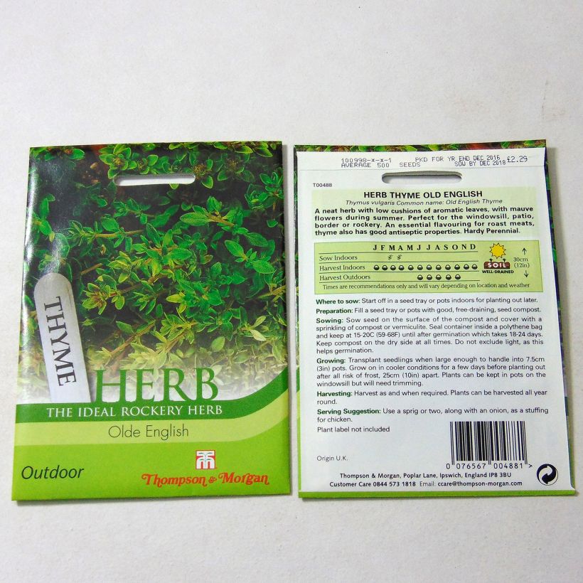 Beispiel eines Exemplars von Echter Thymian Old English - Thymus vulgaris die Tüte mit 500 Samen ungefähr wie geliefert