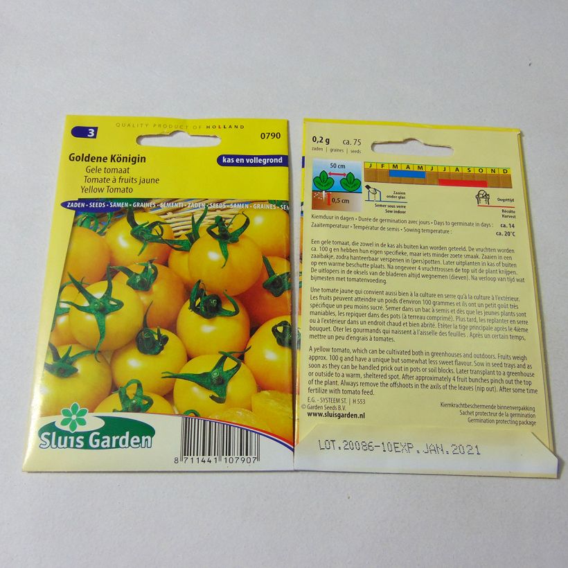 Beispiel eines Exemplars von Tomate Goldene Königin die Tüte mit 75 Samen ungefähr wie geliefert