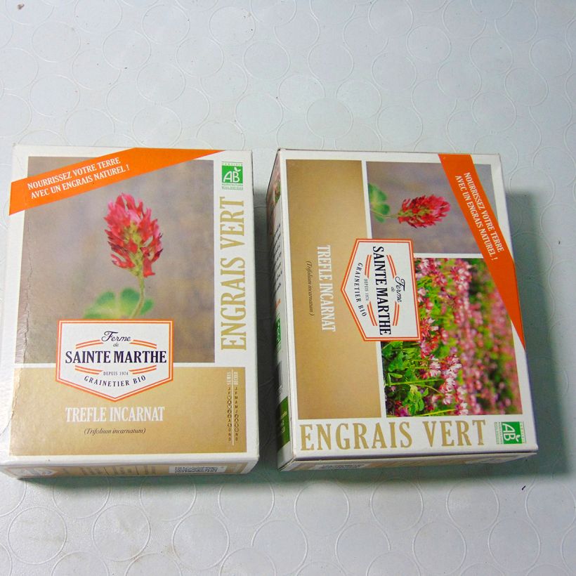 Beispiel eines Exemplars von Inkarnat-Klee - Ferme de Sainte Marthe - Trifolium incarnatum die Tüte mit Samen von 300 Gramm wie geliefert