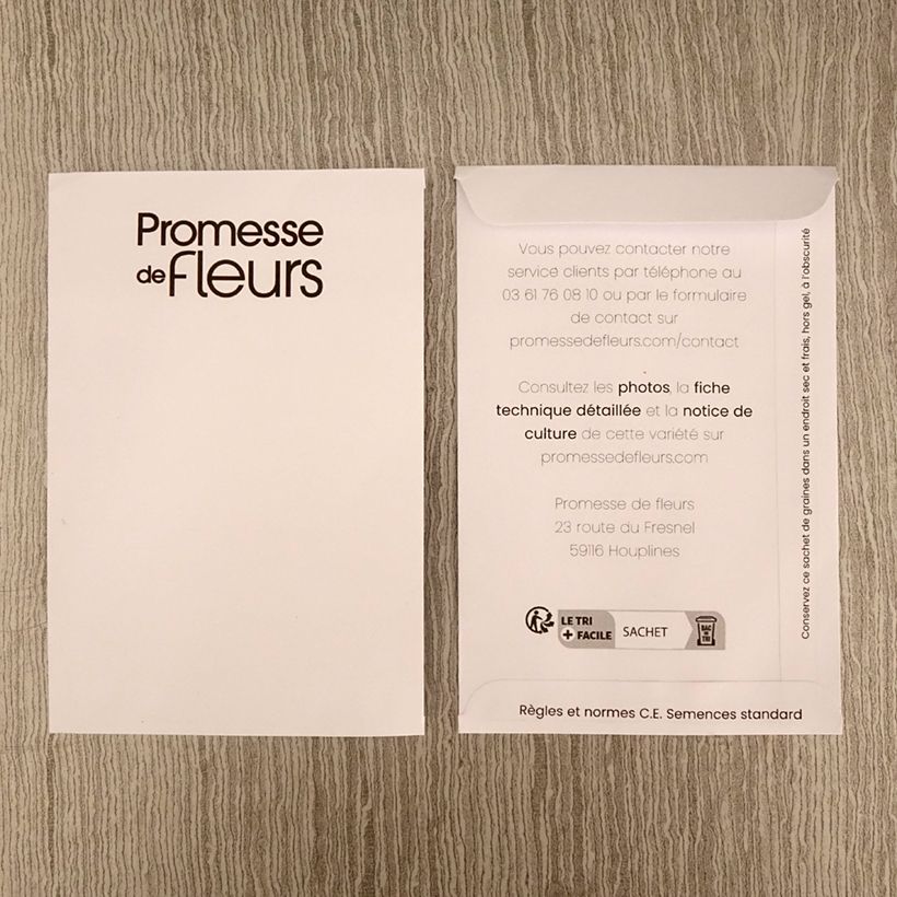 Beispiel eines Exemplars von Ammi visnaga (Samen) - Zahnstocherkraut die Tüte mit 550 Samen ungefähr (0,4g) wie geliefert