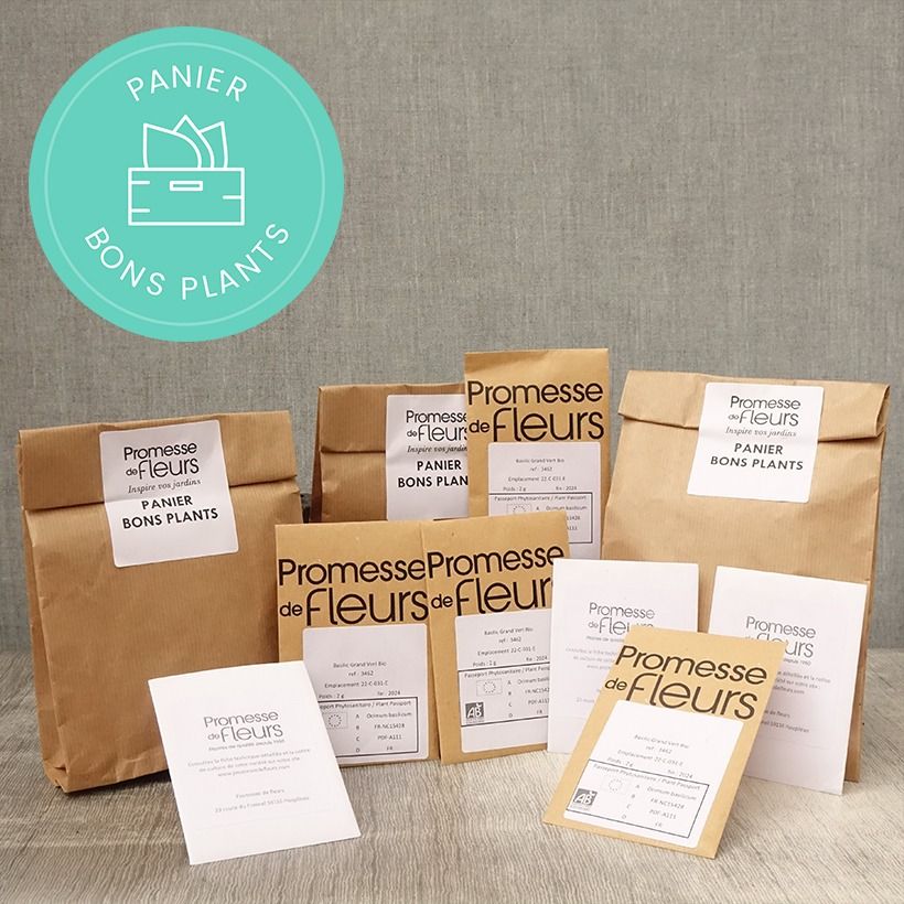 Beispiel eines Exemplars von Panier bons plants graines Samen wie geliefert