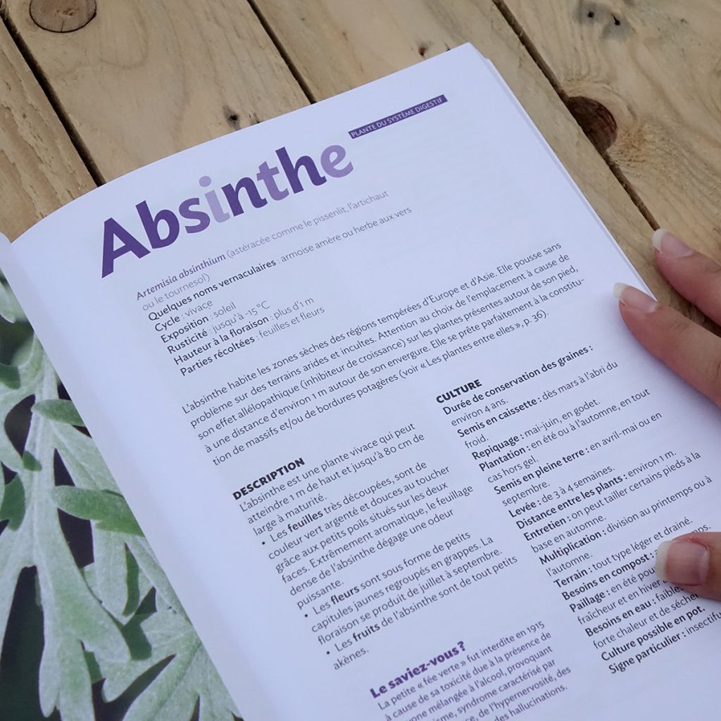 55 plantes médicinales dans mon jardin