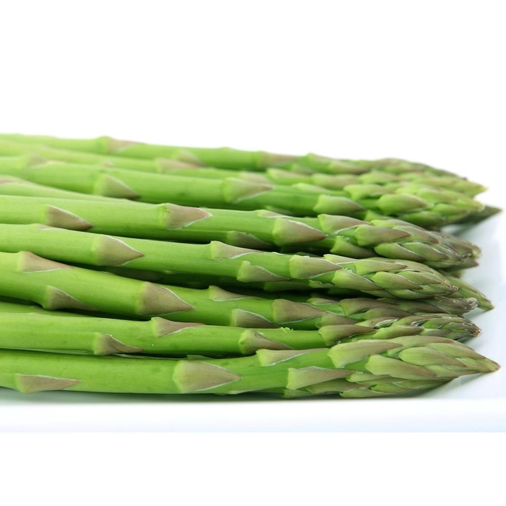 Spargel Voltaire F1 - Asparagus officinalis