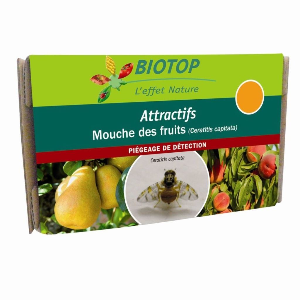 Anziehende Ceratitis capitata - Mittelmeerfruchtfliege (2 Kapseln) Biotop