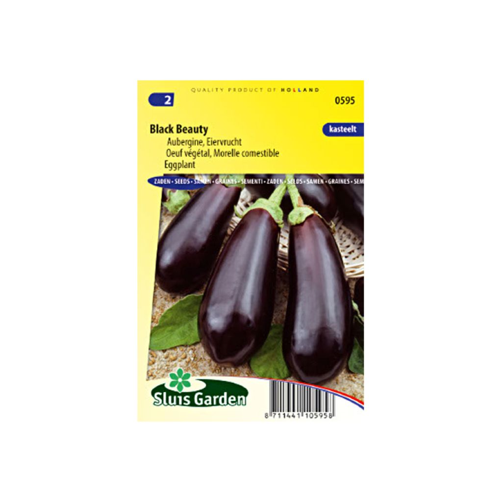 Aubergine Black beauty