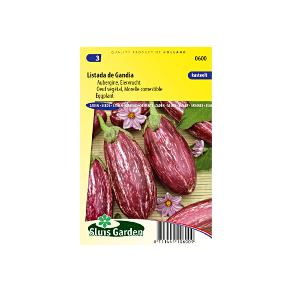 Aubergine Listada de Gandia