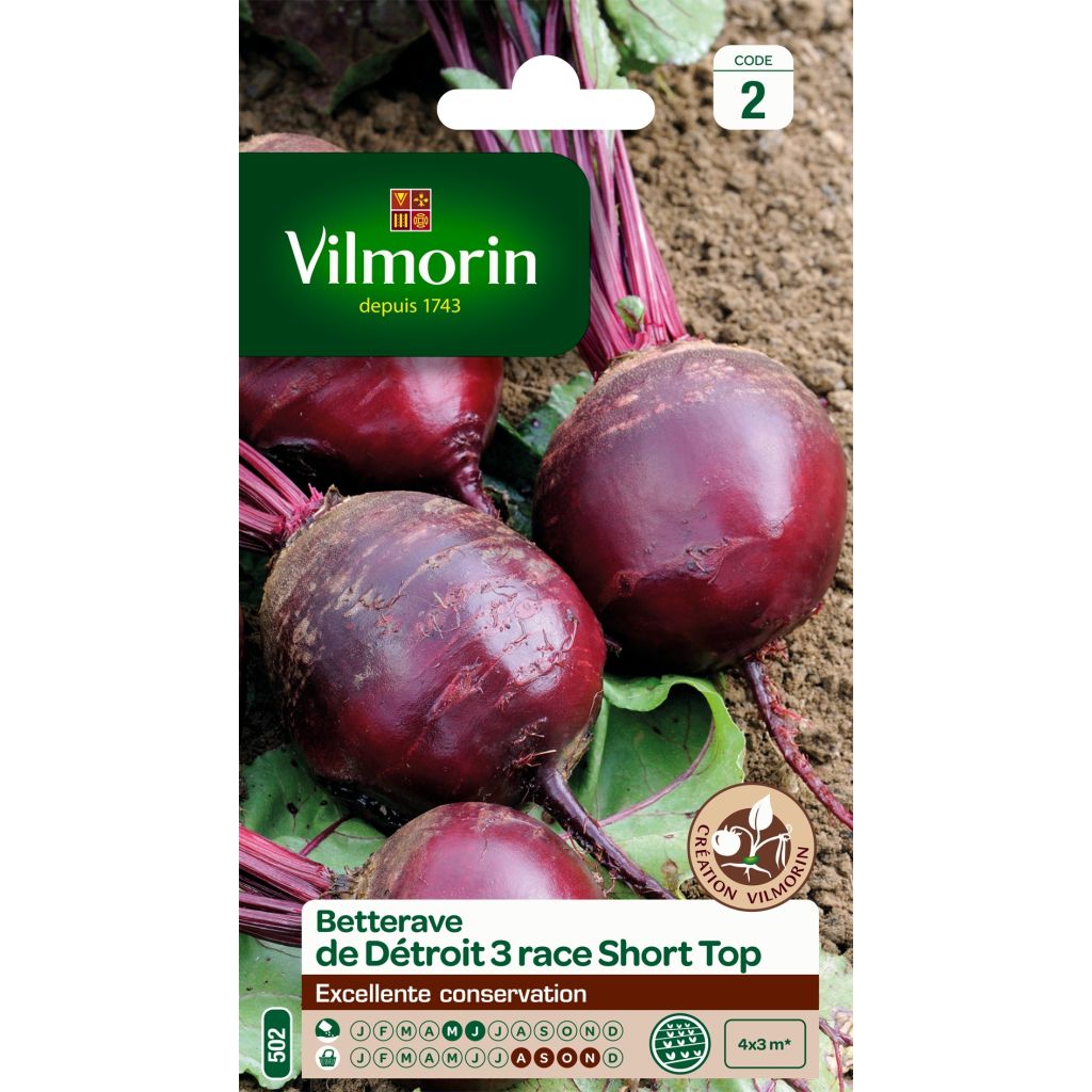 Rote Bete Détroit 3 race Short Top- Vilmorin