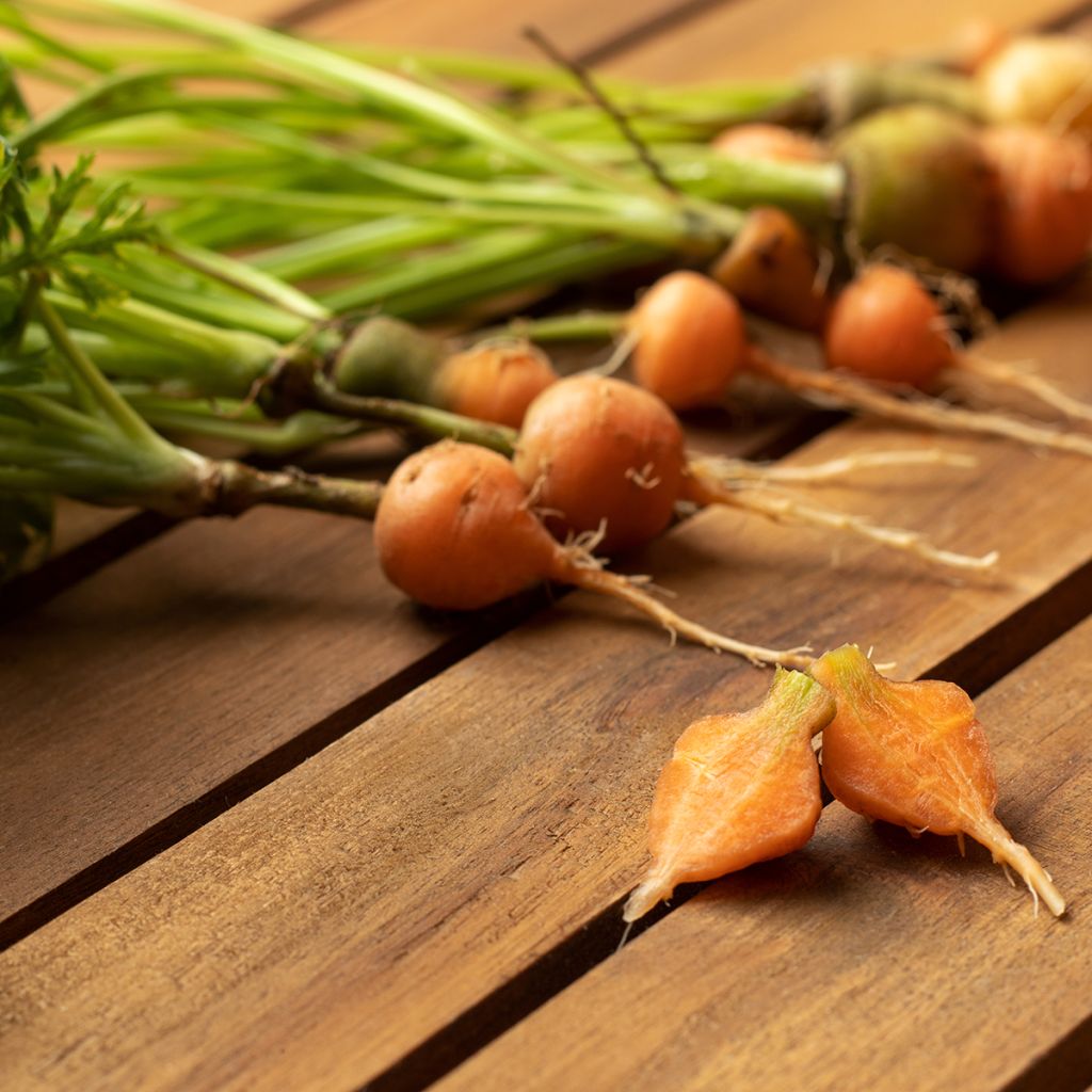 Möhre Marché de Paris