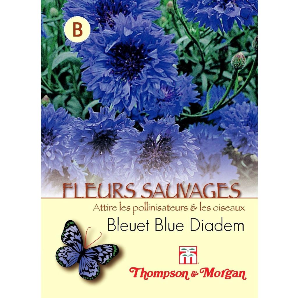 Kornblume Blue Diadem (Samen) - Centaurea cyanus