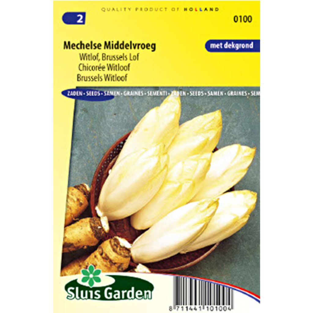 Winterendivie Witloof Mechelse Middelvroeg Bio
