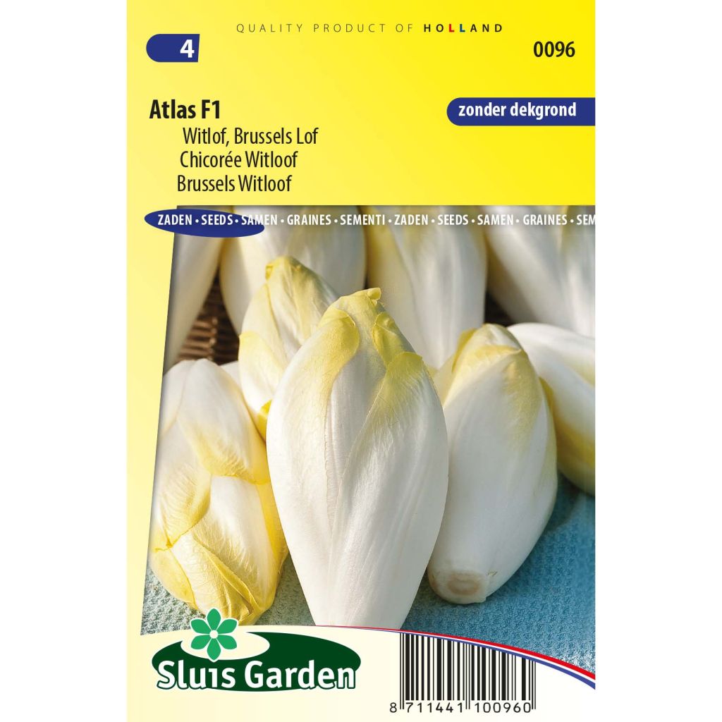 Winterendivie Atlas F1