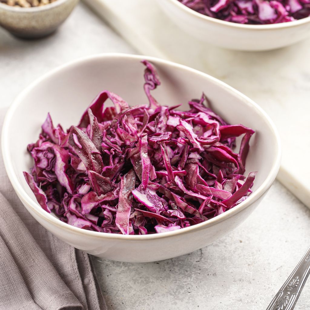 Rotkohl Langedijker Bewaar 2