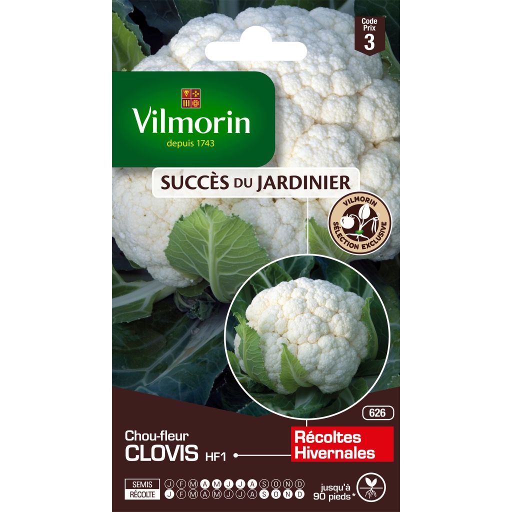 Blumenkohl Clovis F1 - Vilmorin